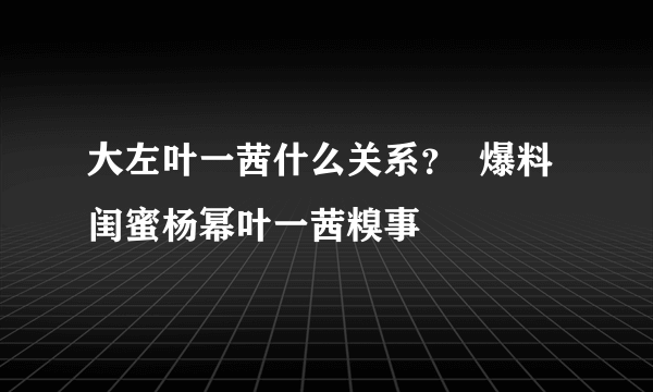 大左叶一茜什么关系？  爆料闺蜜杨幂叶一茜糗事