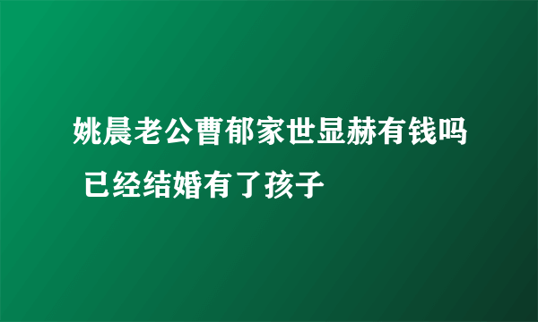 姚晨老公曹郁家世显赫有钱吗 已经结婚有了孩子