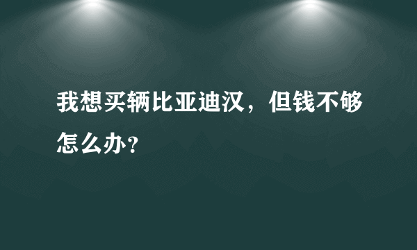 我想买辆比亚迪汉，但钱不够怎么办？