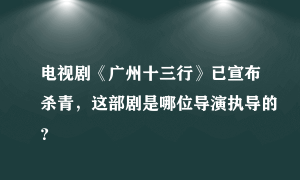 电视剧《广州十三行》已宣布杀青，这部剧是哪位导演执导的？