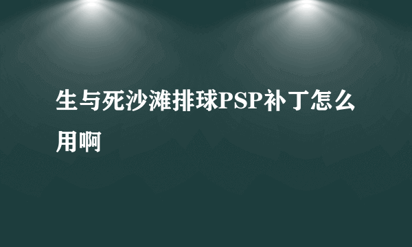 生与死沙滩排球PSP补丁怎么用啊