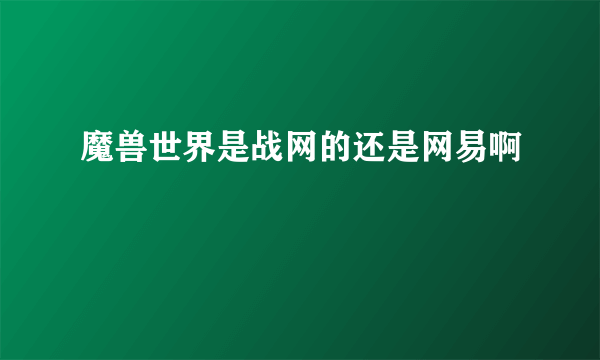 魔兽世界是战网的还是网易啊