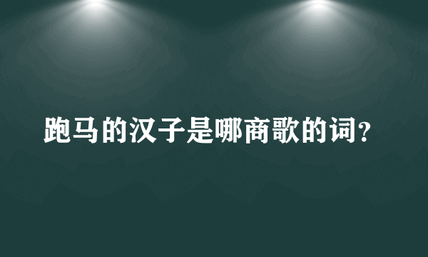 跑马的汉子是哪商歌的词？