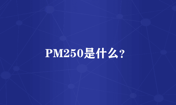 PM250是什么？