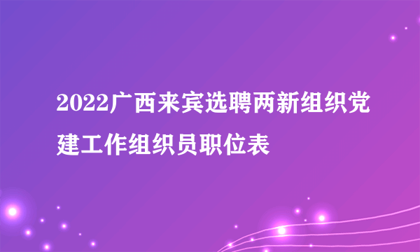 2022广西来宾选聘两新组织党建工作组织员职位表