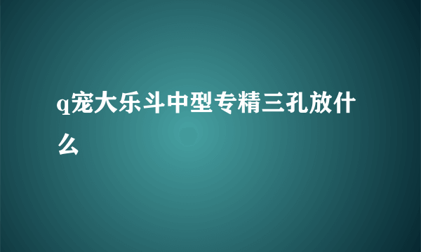 q宠大乐斗中型专精三孔放什么