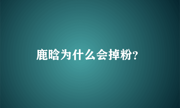 鹿晗为什么会掉粉？