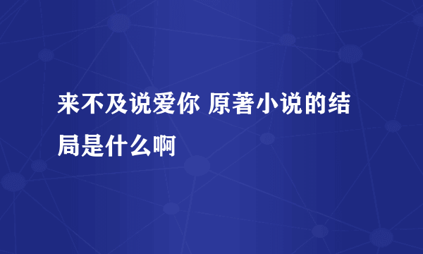 来不及说爱你 原著小说的结局是什么啊