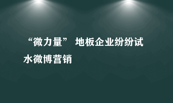 “微力量” 地板企业纷纷试水微博营销