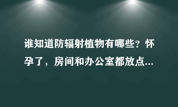 谁知道防辐射植物有哪些？怀孕了，房间和办公室都放点防辐射植物有作