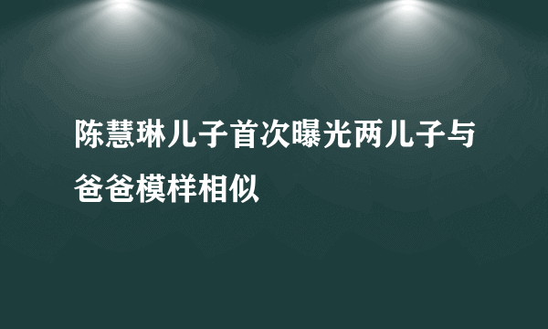 陈慧琳儿子首次曝光两儿子与爸爸模样相似