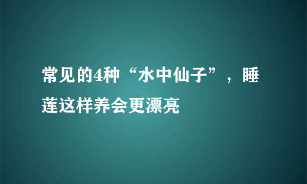 常见的4种“水中仙子”，睡莲这样养会更漂亮