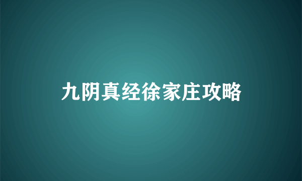 九阴真经徐家庄攻略