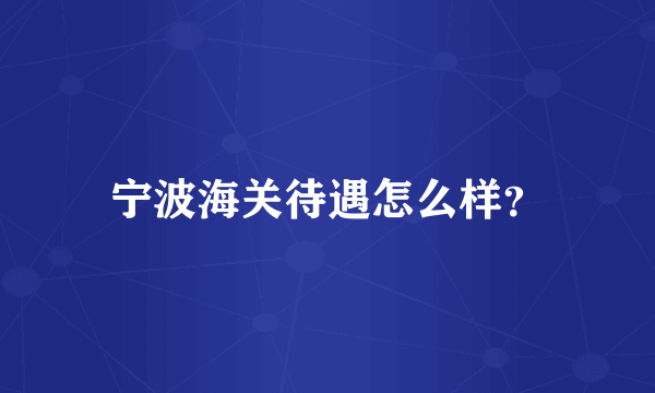 宁波海关待遇怎么样？