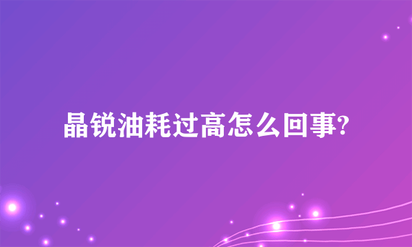 晶锐油耗过高怎么回事?