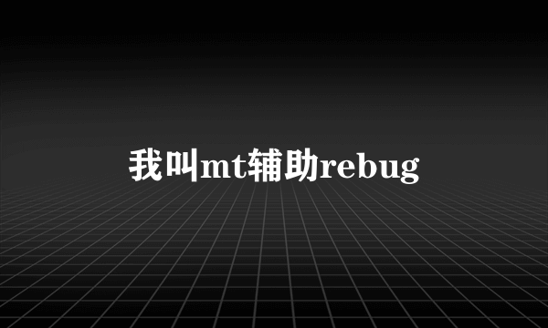 我叫mt辅助rebug