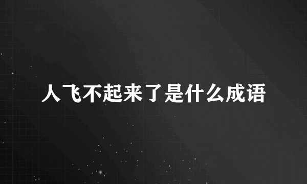 人飞不起来了是什么成语