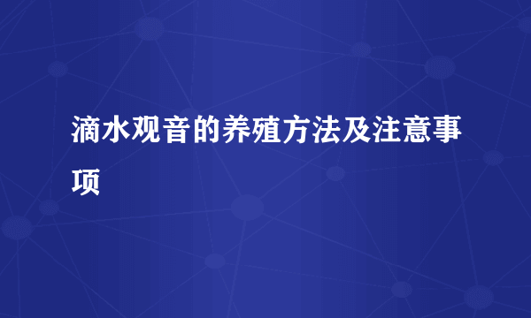 滴水观音的养殖方法及注意事项