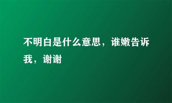 不明白是什么意思，谁嫩告诉我，谢谢