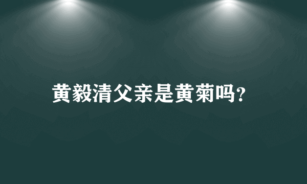 黄毅清父亲是黄菊吗？