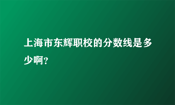 上海市东辉职校的分数线是多少啊？