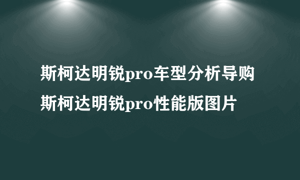 斯柯达明锐pro车型分析导购 斯柯达明锐pro性能版图片