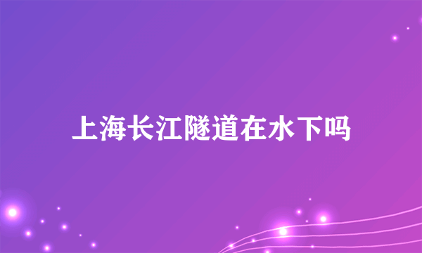 上海长江隧道在水下吗