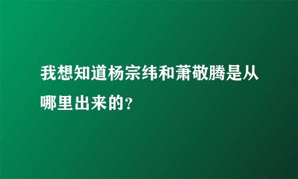 我想知道杨宗纬和萧敬腾是从哪里出来的？