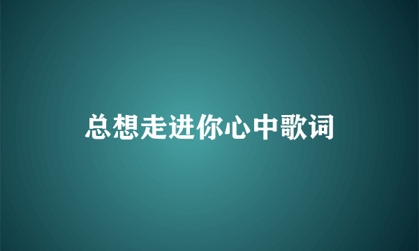 总想走进你心中歌词