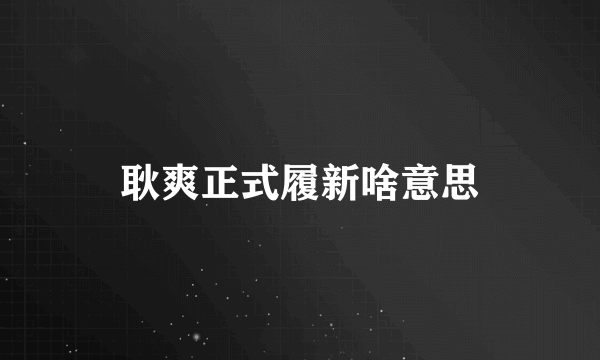 耿爽正式履新啥意思