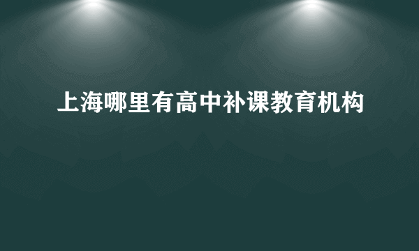 上海哪里有高中补课教育机构