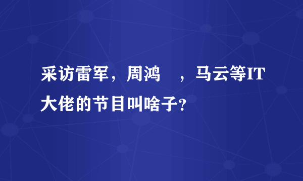 采访雷军，周鸿祎，马云等IT大佬的节目叫啥子？