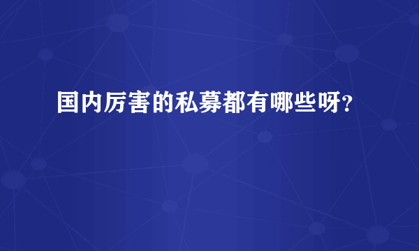 国内厉害的私募都有哪些呀？