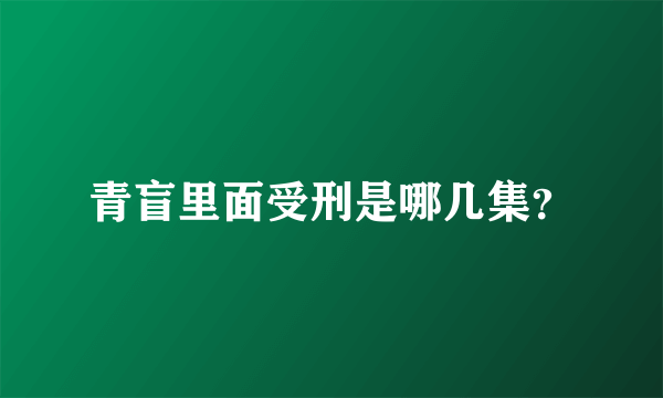 青盲里面受刑是哪几集？