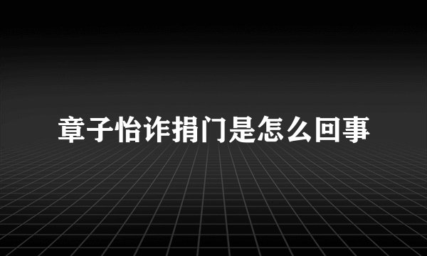 章子怡诈捐门是怎么回事