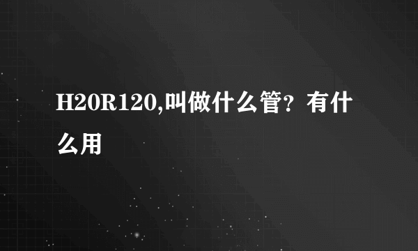 H20R120,叫做什么管？有什么用