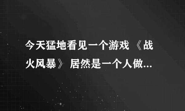 今天猛地看见一个游戏 《战火风暴》 居然是一个人做的 难度有多大