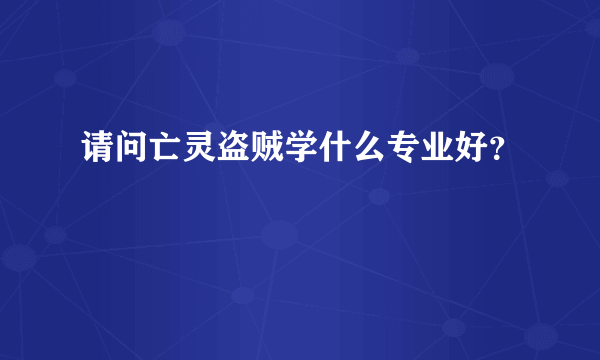 请问亡灵盗贼学什么专业好？