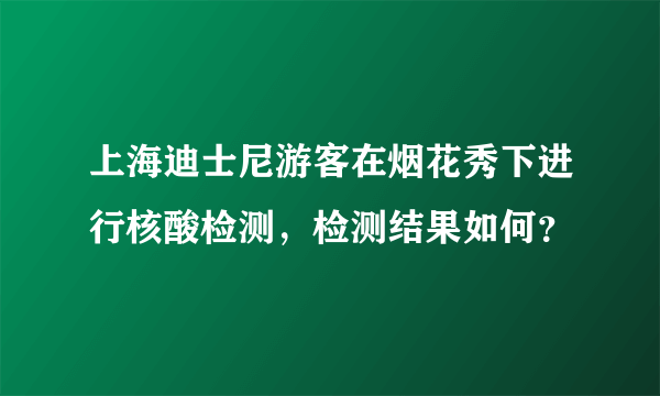 上海迪士尼游客在烟花秀下进行核酸检测，检测结果如何？