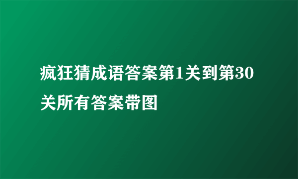 疯狂猜成语答案第1关到第30关所有答案带图