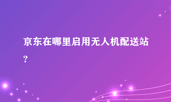 京东在哪里启用无人机配送站？