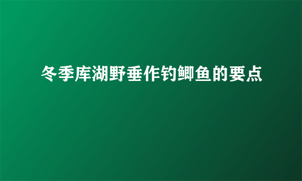 冬季库湖野垂作钓鲫鱼的要点