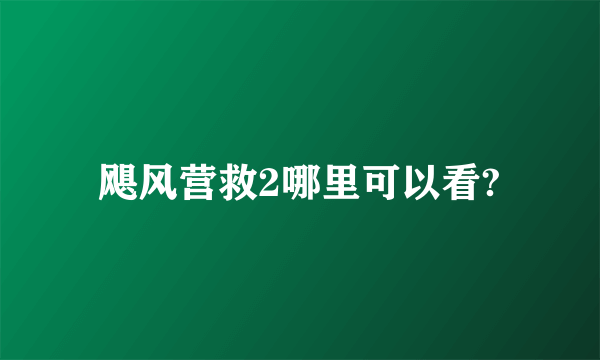 飓风营救2哪里可以看?