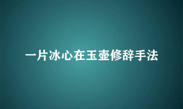 一片冰心在玉壶修辞手法