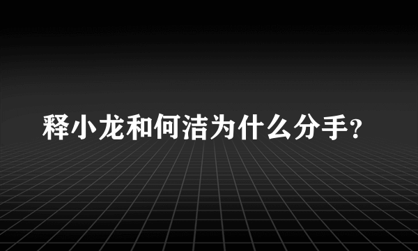 释小龙和何洁为什么分手？