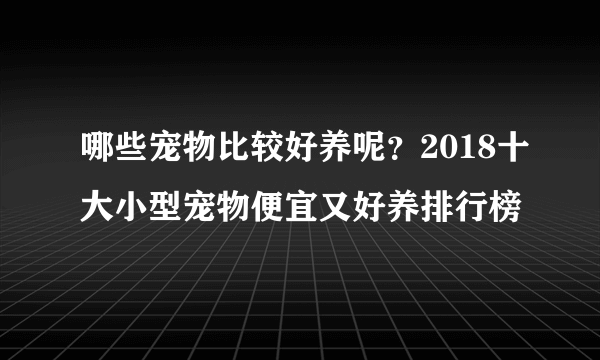 哪些宠物比较好养呢？2018十大小型宠物便宜又好养排行榜