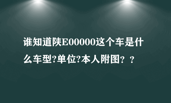 谁知道陕E00000这个车是什么车型?单位?本人附图？？