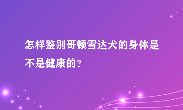 怎样鉴别哥顿雪达犬的身体是不是健康的？