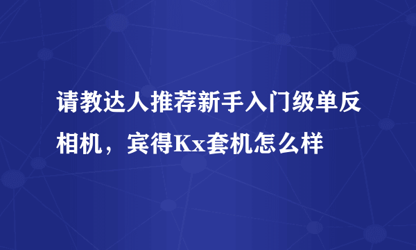 请教达人推荐新手入门级单反相机，宾得Kx套机怎么样