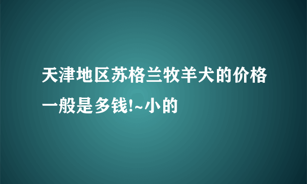 天津地区苏格兰牧羊犬的价格一般是多钱!~小的